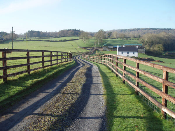 Equestrian Fencing