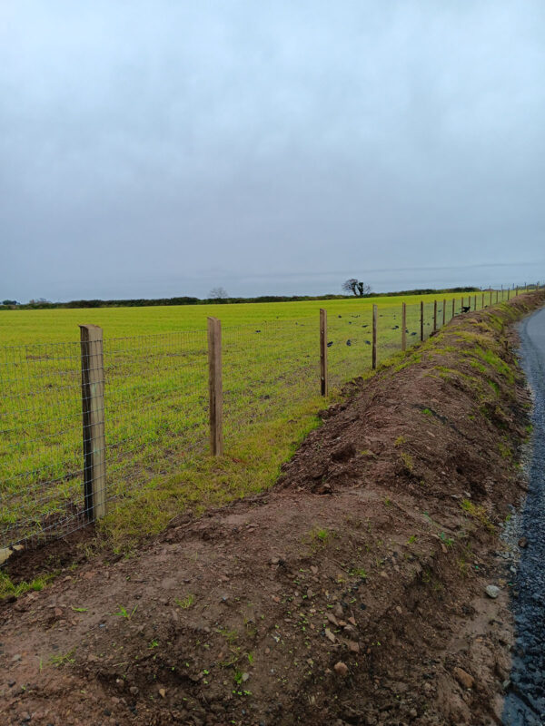 Equestrian Fencing - Image 10