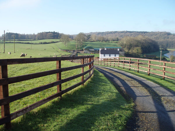 Equestrian Fencing - Image 17