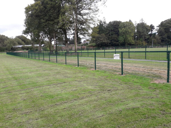 Palisade-Security Fencing - Image 6