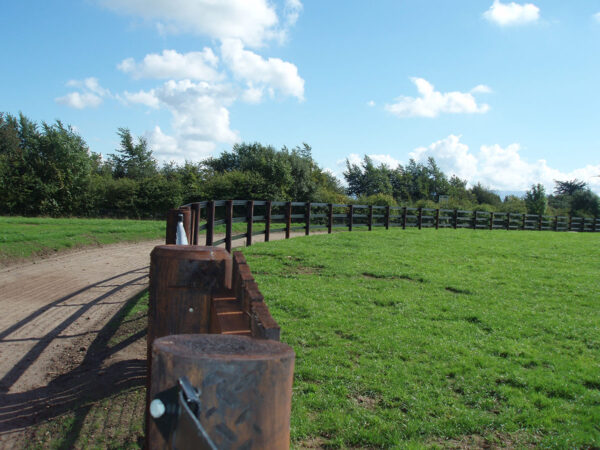 Equestrian Fencing - Image 8