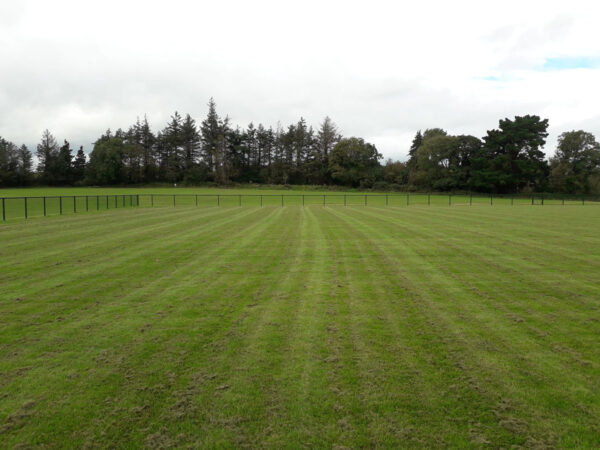 Palisade-Security Fencing - Image 2